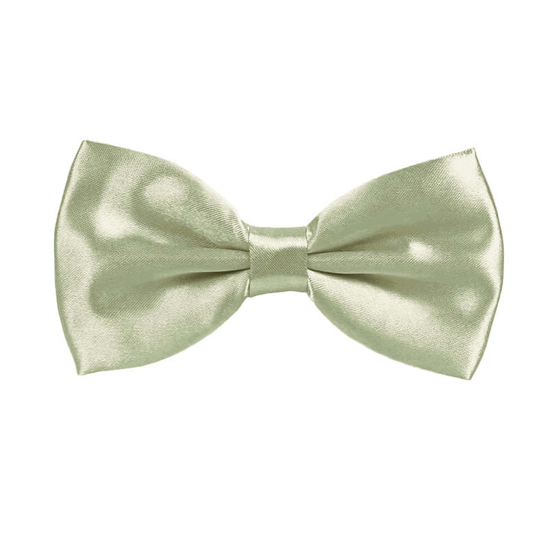 Stacees Glossy Satin Bow Tie